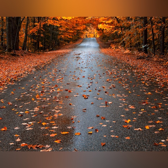 Make An Offer - Picture 1 of 4